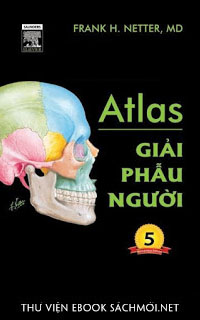 Download sách Atlas Giải Phẫu Người PDF