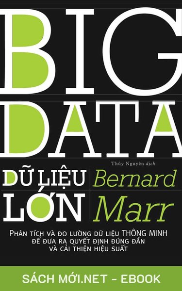 Tải ebook Big Data - Dữ Liệu Lớn PDF/MOBI/EPUB/AZW3