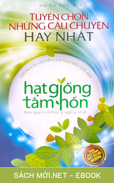 Tải ebook Hạt Giống Tâm Hồn - Tuyển Chọn Những Câu Chuyện Hay Nhất PDF PRC/EPUB/MOBi