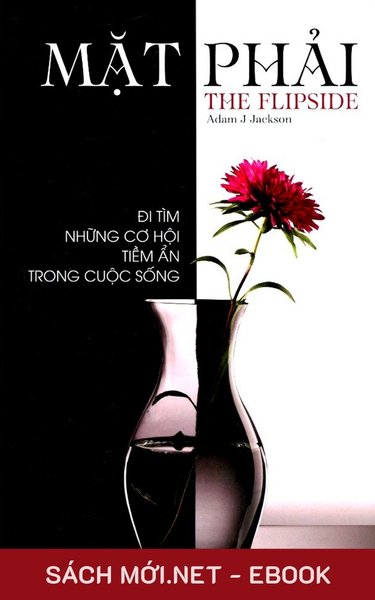 Tải ebook Mặt Phải: Đi Tìm Những Cơ Hội Tiềm Ẩn Trong Cuộc Sống PDF/MOBI/EPUB/AZW3