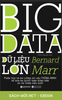 Tải ebook Big Data - Dữ Liệu Lớn PDF/MOBI/EPUB/AZW3