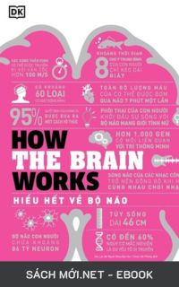 Tải ebook Hiểu Hết Về Bộ Não AZW3/EPUB/MOBI/PDF