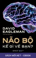 Tải ebook Não Bộ Kể Gì Về Bạn PDF/MOBI/EPUB/AZW3