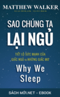 Tải ebook Sao Chúng Ta Lại Ngủ PDF/MOBI/EPUB/AZW3