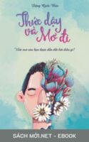 Tải ebook Thức Dậy Và Mơ Đi PDF/MOBI/EPUB/AZW3
