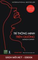 Tải ebook Trí Thông Minh Trên Giường AZW3/EPUB/MOBI/PDF