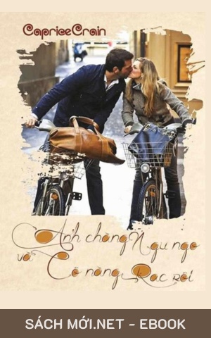 Tải ebook Anh Chàng Ngu Ngơ Và Cô Nàng Rắc Rối PDF/EPUB