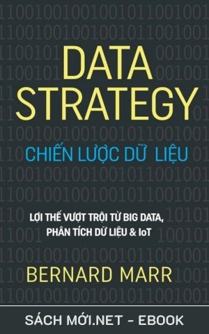 Tải ebook Data Strategy - Chiến Lược Dữ Liệu PDF/EPUB