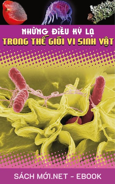Tải ebook Những Điều Kỳ Lạ Trong Thế Giới Vi Sinh Vật PDF/EPUB