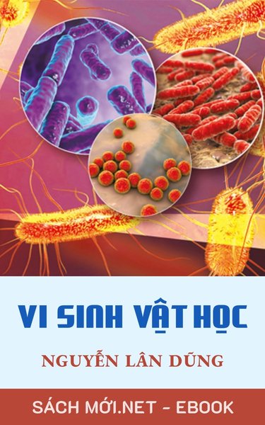 Tải ebook Vi Sinh Vật Học PDF/EPUB